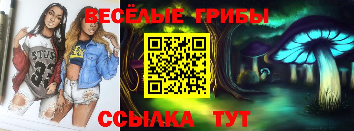 Галлюциногенные грибы мицелий  Вход с VPN  Нововоронеж 