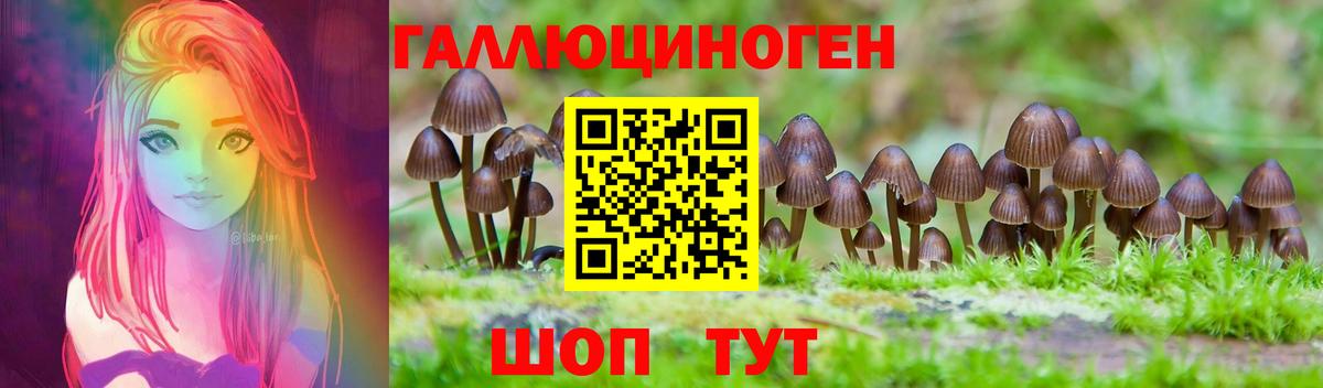 Галлюциногенные грибы MAGIC MUSHROOMS Нововоронеж